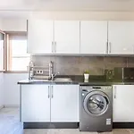 Great Location Luxury Apartment